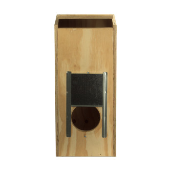 Ninho de madeira Eco para Ring Necks