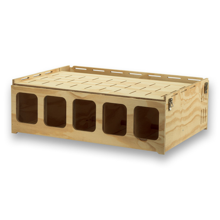 Transportadora de madeira Pluma com 5 compartimentos para aves médio porte