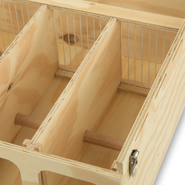 Transportadora de madeira Pluma com 5 compartimentos para aves médio porte