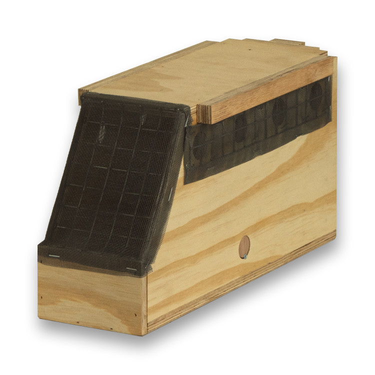 Transportadora de madeira Air Export Calm com 1 compartimento para Ring Necks