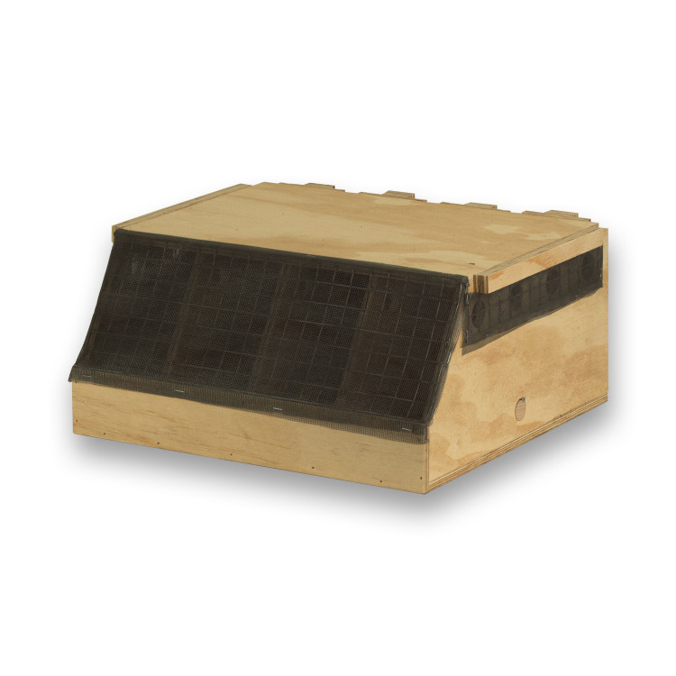Transportadora de madeira Air Export Calm com 4 compartimentos para Ring Necks