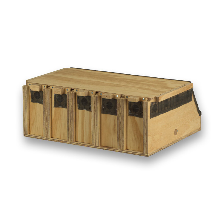 Transportadora de madeira Air Export Calm com 5 compartimentos para Ring Necks