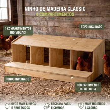Ninho de madeira Classic com 4 compartimentos para Galinhas